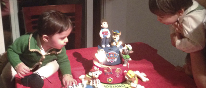 Dulces Patrulla Caninas - Paw Patrol